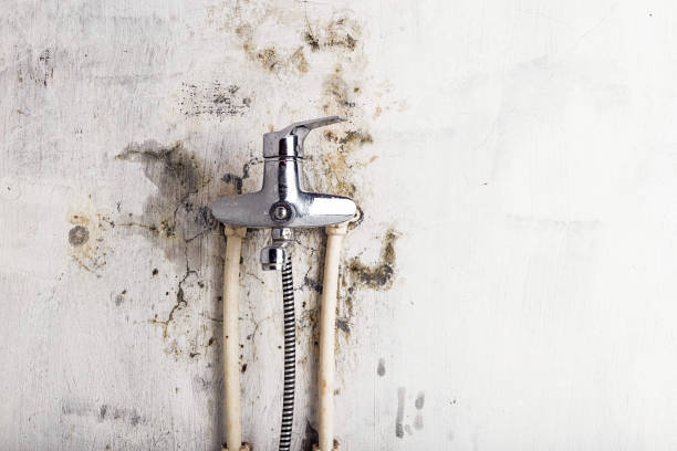 Best Water Damage Restoration  in Dovesville, SC