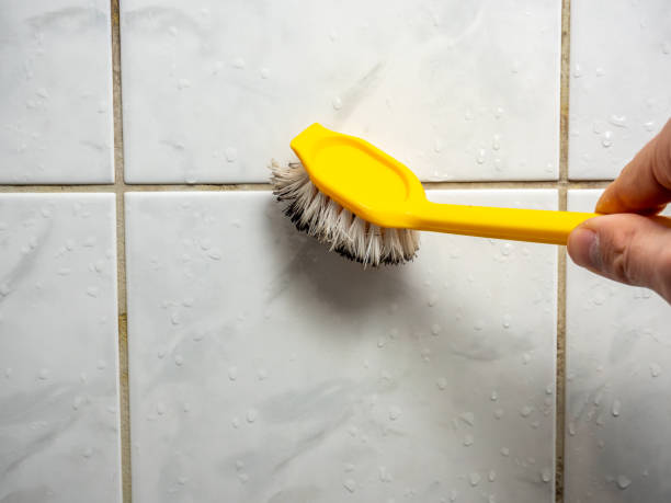 Dovesville, SC Mold Removal Pros