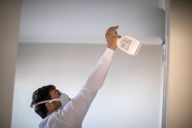 Best Professional Mold Removal  in Dovesville, SC