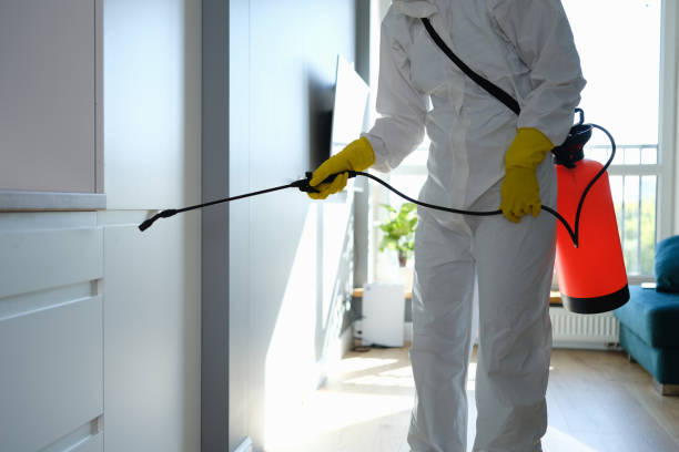 Reliable Dovesville, SC Mold Removal Solutions