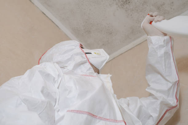 Water Damage Restoration in Dovesville, SC